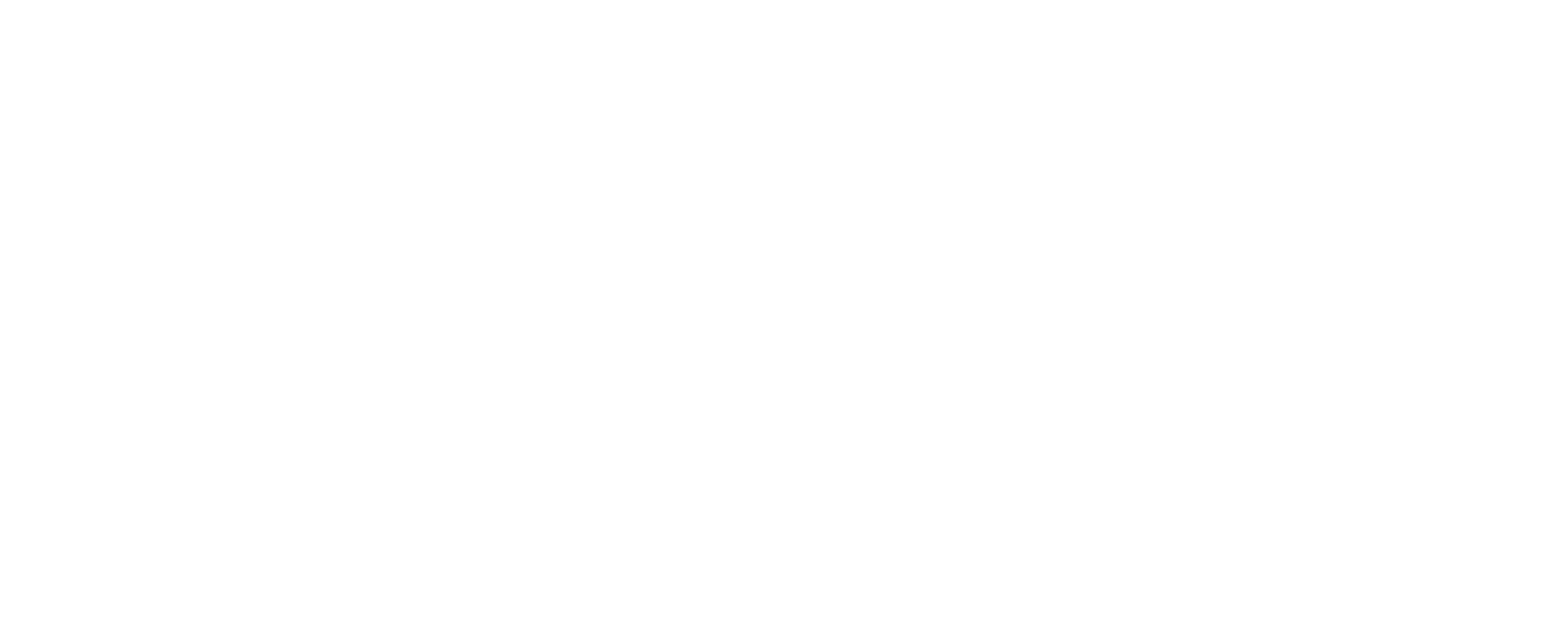 railsys_logo_weiss