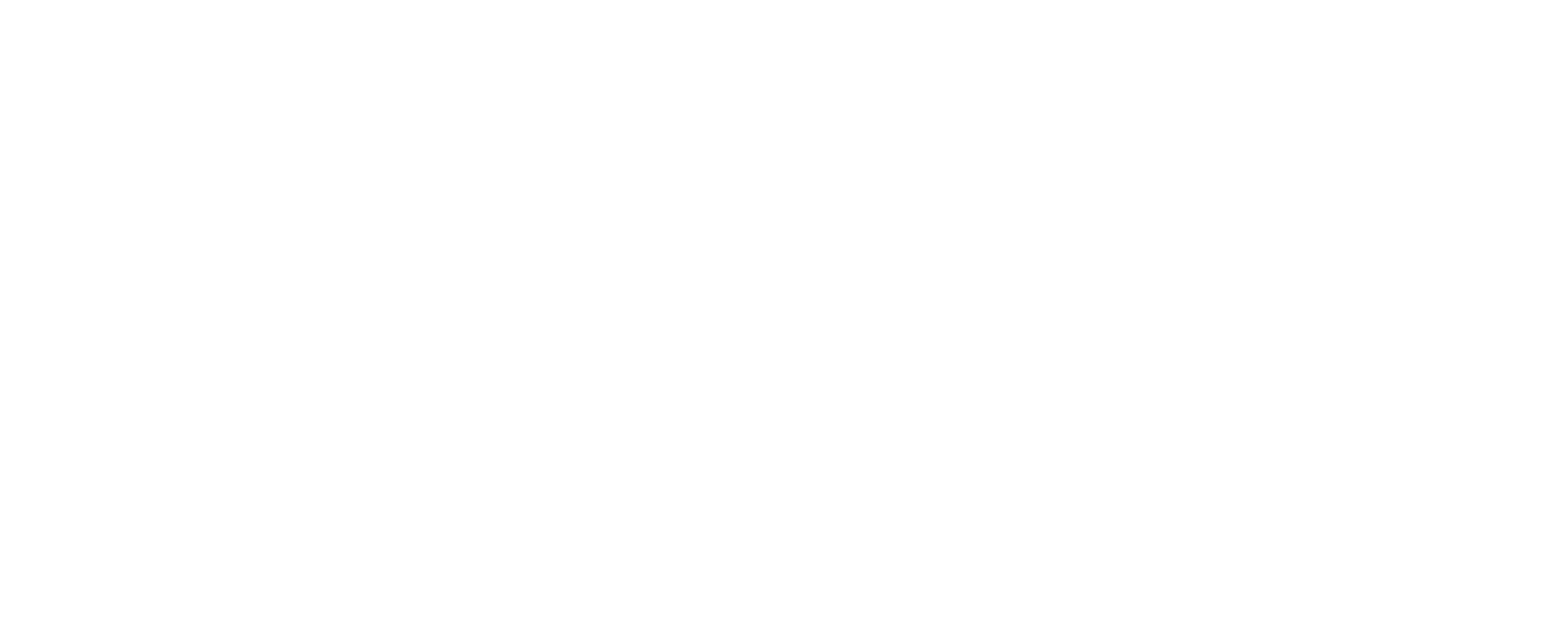 railsys_logo_weiss2_EN